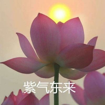 新世纪战士战斗领域最新版下载